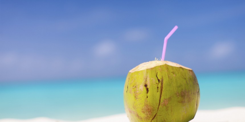 Coconut on a tropical beach
