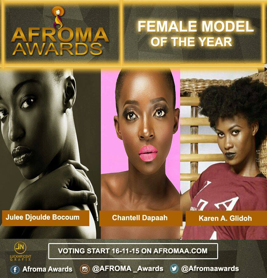afroma awards (15)