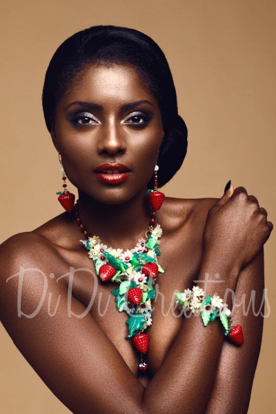 Didi-Creations-Jewellry-Collection-Lookbook-2014-fashionghana african fashion (1)